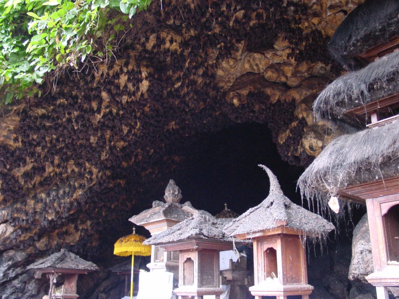 Goa Lawah Fledermaushoehle 1.JPG - Photos of Bali, Indonesia in March 2001
