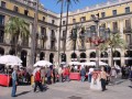 Plaza Reial (mit Bigit)