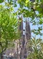 Sagrada Familia fern
