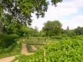Park Sans Souci 2
