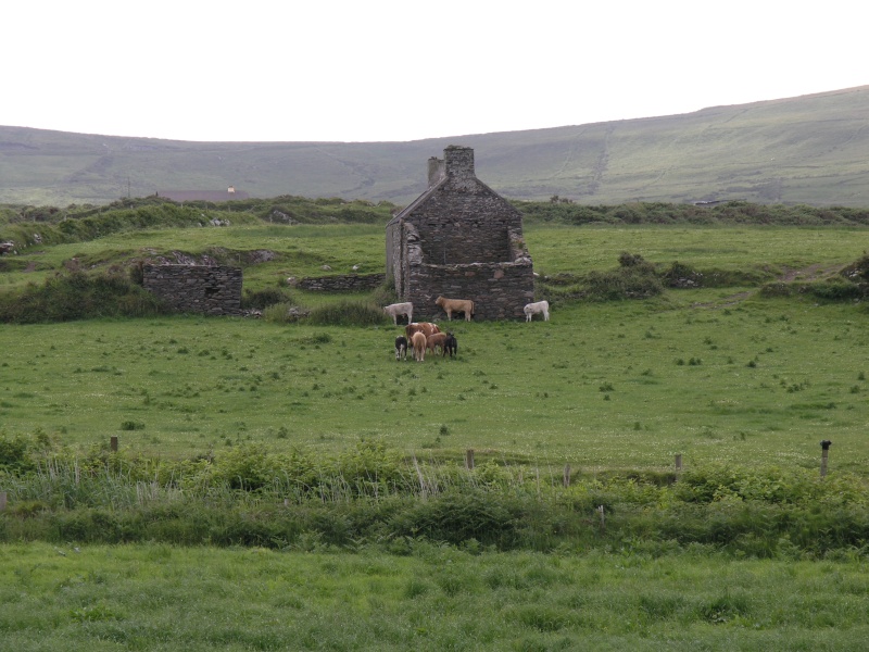 Beara Peninsula - Allihies - Verlassenes Haus.JPG - Photos of Ireland, in June 2005