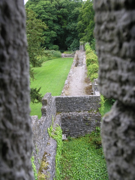 Blarney Castle - Blick auf Burgmauer.JPG - Photos of Ireland, in June 2005