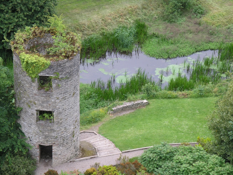 Blarney Castle - Blick auf Turm nah.JPG - Photos of Ireland, in June 2005