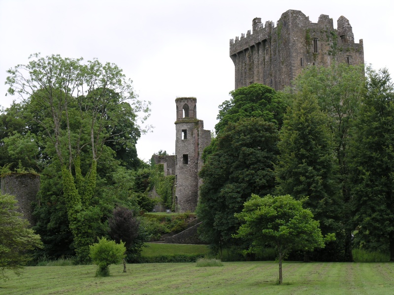 Blarney Castle - Burg und Park.JPG - Photos of Ireland, in June 2005