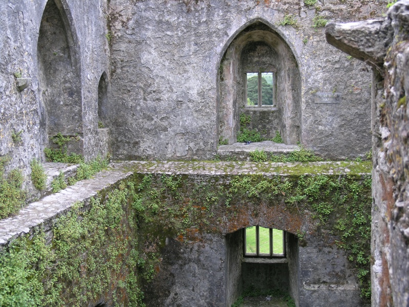Blarney Castle - Innenansicht 1.JPG - Photos of Ireland, in June 2005