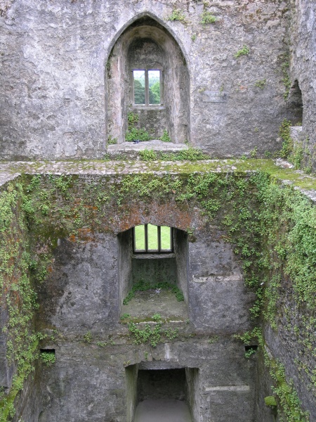 Blarney Castle - Innenansicht 2.JPG - Photos of Ireland, in June 2005