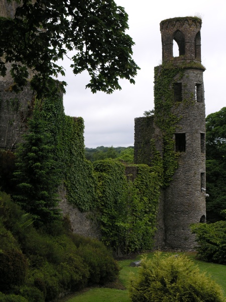 Blarney Castle - Seitenturm.JPG - Photos of Ireland, in June 2005