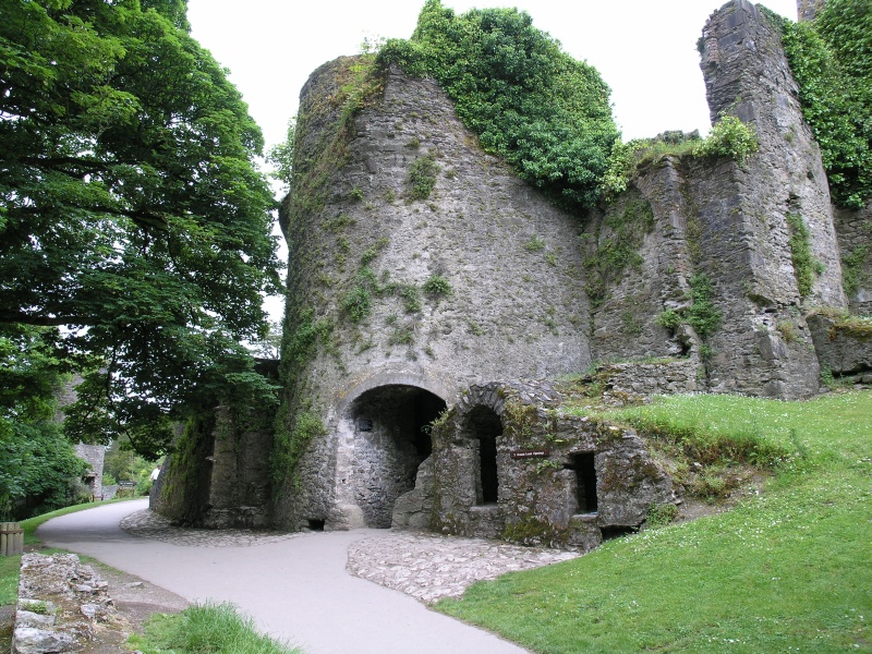 Blarney Castle - Turm.JPG - Photos of Ireland, in June 2005