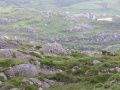 Beara Peninsula - Allihies - Berge