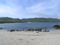 Beara Peninsula - Allihies - Sandstrand 1