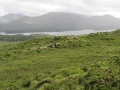 Beara Peninsula - Blick auf Bucht 8