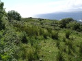Beara Peninsula - Blick auf Kenmare River (westlich)