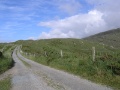 Beara Peninsula - Strasse ins Landesinnere