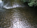 Blarney Castle - Bach im Park