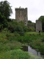 Blarney Castle - Teich