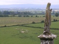 Cashel - Rock of Cashel Blick auf Felder 1