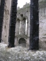 Cashel - Rock of Cashel Blick in Cathedral Chor