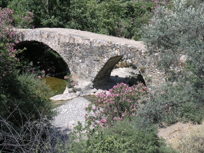 Amari-Becken - Alte Bruecke nah.JPG - OLYMPUS DIGITAL CAMERA         