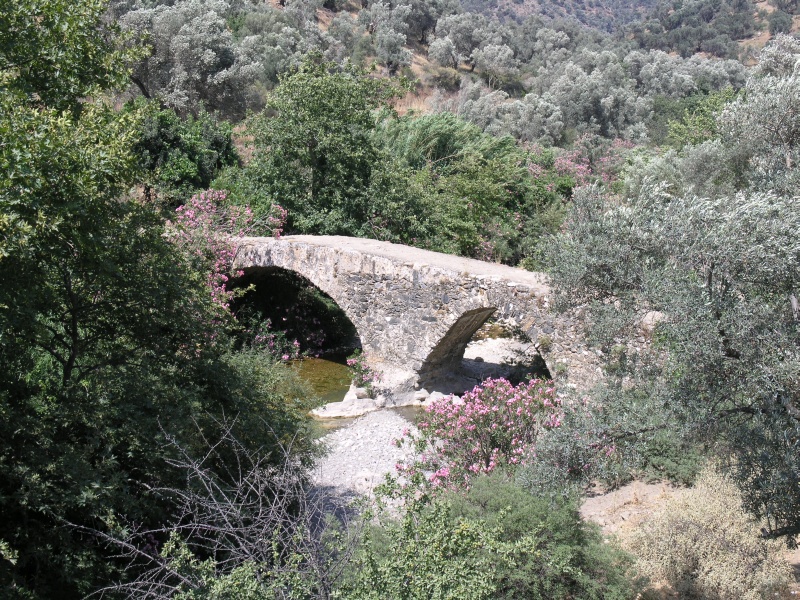 Amari-Becken - Alte Bruecke.JPG - OLYMPUS DIGITAL CAMERA         