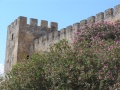 Frangokastello - Venezianisches Kastell aussen 3