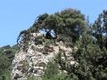 Imbros-Schlucht - Felsen 01