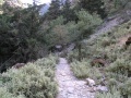 Imbros-Schlucht - Weg 06