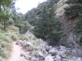 Imbros-Schlucht - Weg 08