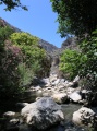 Kourtaliotis-Schlucht - Bach Megalopotamos 2