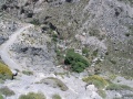 Kourtaliotis-Schlucht - Blick auf Bach fern