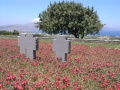 Maleme - Deutscher Soldatenfriedhof Kreuze