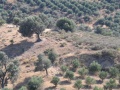 Messara-Ebene - Landschaftsblick 2