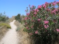 Rethimnon - Festung Weg
