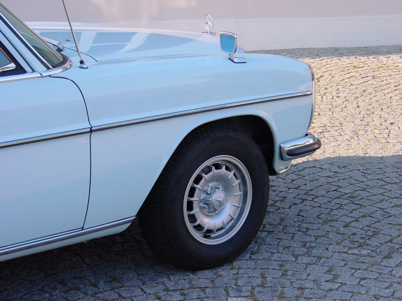 230_Kotfluegel_rechts.JPG -                                