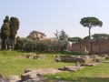 Palatin 1