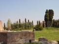 Palatin 2