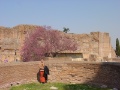 Palatin 3