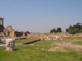 Palatin 5