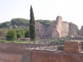 Palatin 6